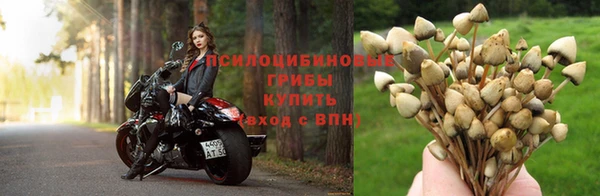не бодяженный Богданович