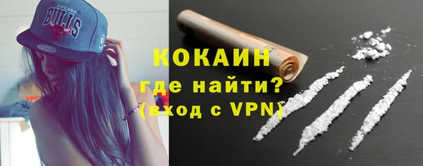 крисы Богородск