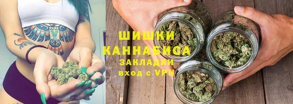 крисы Богородск