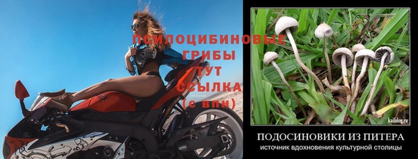 не бодяженный Богданович